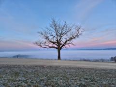 Oberhalb Igelrain mit Sicht auf Detligen im Nebel. Wer findet das Gemeindehaus? (Foto T. Ledermann)