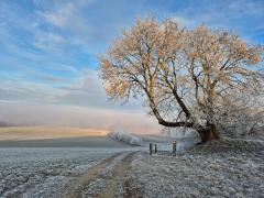 Detligen Richtung Jucher (Foto T. Ledermann)