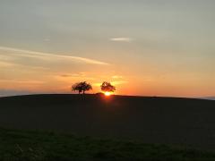 Bühl mit Sonnenuntergang